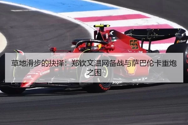 cao-di-hua-bu-de-jue-ze-zheng-qin-wen-wen-wang-bei-zhan-yu-sa-ba-lun-ka-zhong-pao-zhi-kun-2-414.jpg